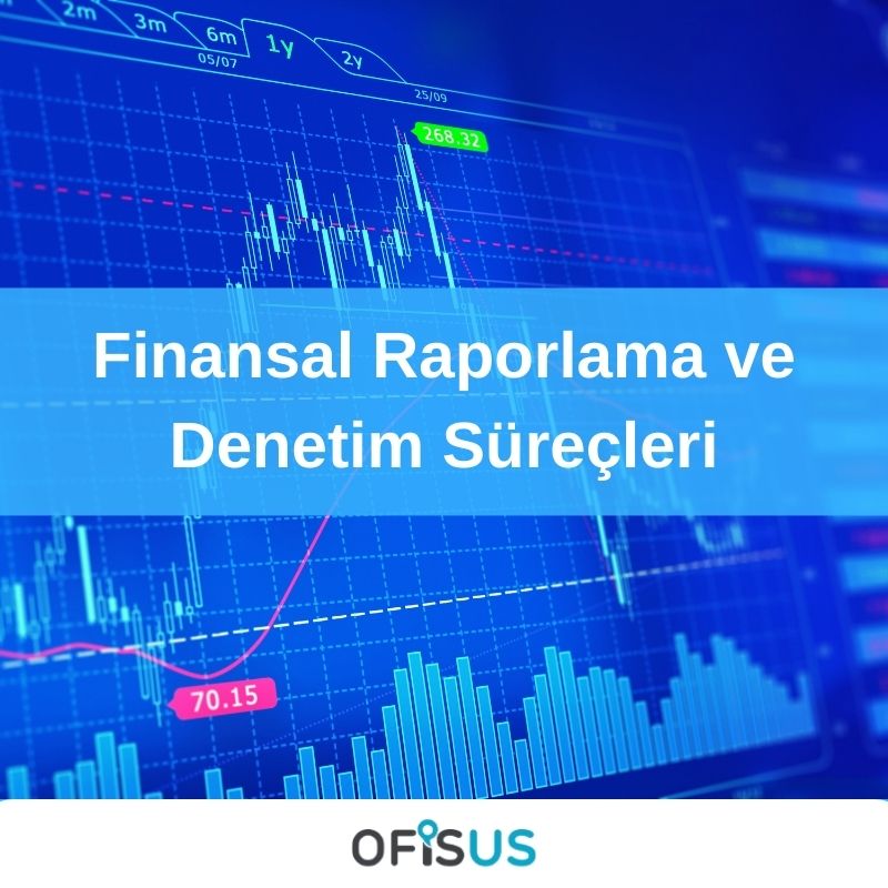 Ofisus Danışmanlık - Finansal Raporlama ve Denetim Süreçleri