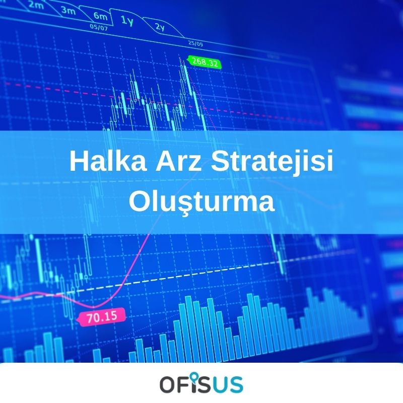 Halka Arz Stratejisi Oluşturma