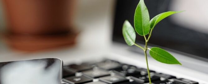 Şirket İçi Çevre Kuralları: Sürdürülebilirlik İçin Ne Yapmalıyız?