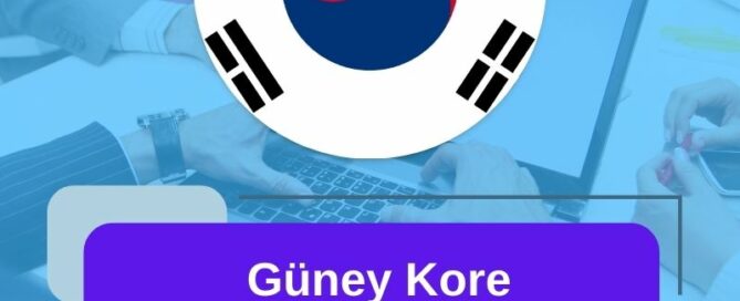 Güney Kore Şirket Nasıl Kurulur?