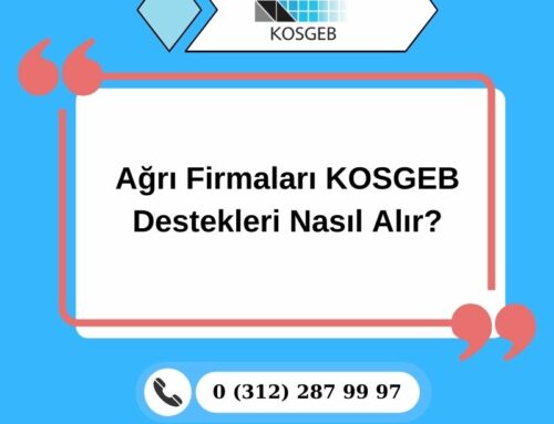 Ağrı Firmaları KOSGEB Destekleri Nasıl Alır?