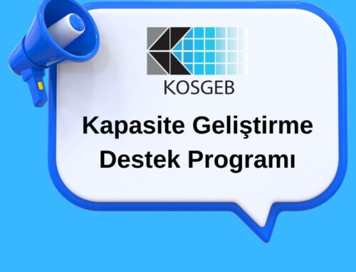 KOSGEB 2025 Kapasite Geliştirme Destek Programı