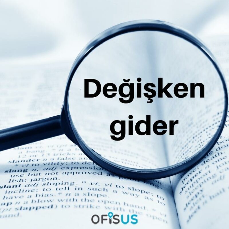 Degisken-gider Değişken gider Ne Anlama Gelir ?