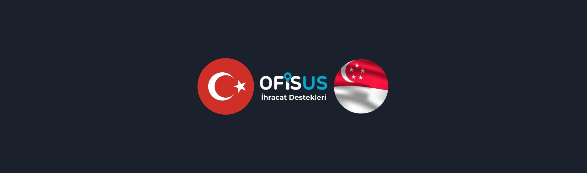 Türkiye – Singapur İhracat Destekleri
